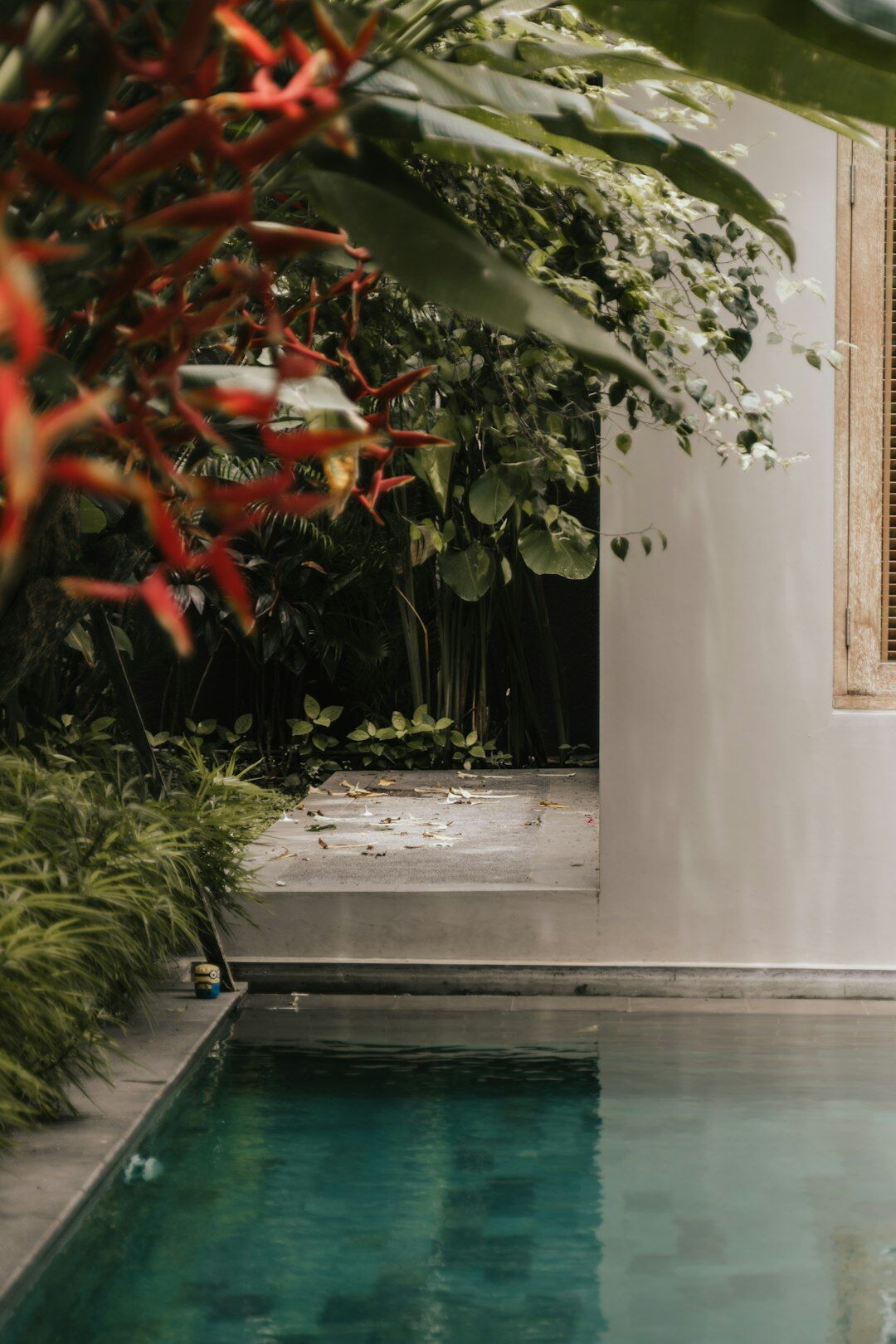 Luxurious villa garden with swimming pool and mediterranean plants