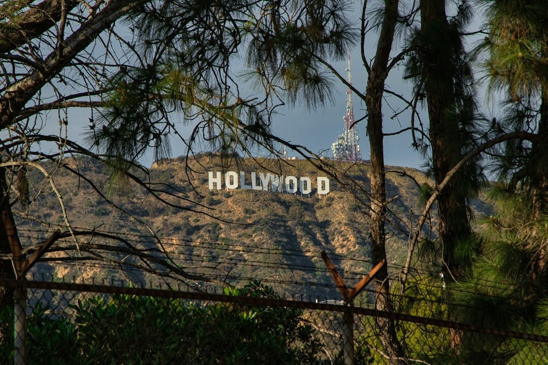 hollywood elite home